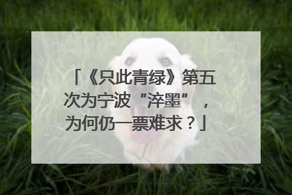 《只此青绿》第五次为宁波“淬墨”，为何仍一票难求？