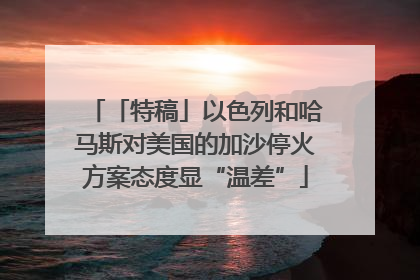 「特稿」以色列和哈马斯对美国的加沙停火方案态度显“温差”