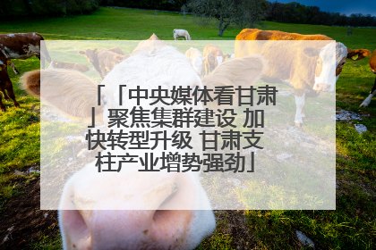 「中央媒体看甘肃」聚焦集群建设 加快转型升级 甘肃支柱产业增势强劲