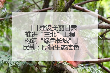 「建设美丽甘肃 推进“三北”工程 构筑“绿色长城”」民勤：厚植生态底色 筑牢绿色屏障