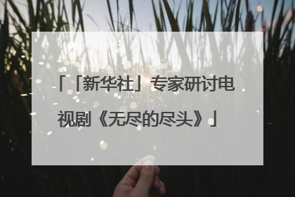 「新华社」专家研讨电视剧《无尽的尽头》