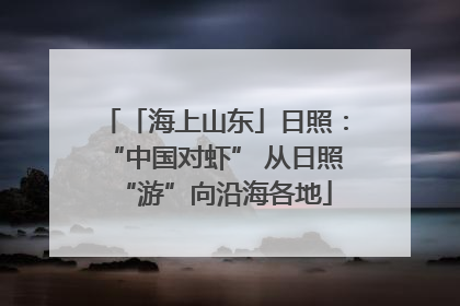 「海上山东」日照：“中国对虾” 从日照“游”向沿海各地