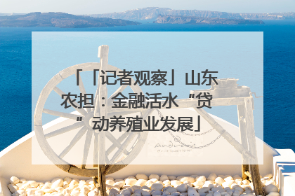 「记者观察」山东农担：金融活水“贷”动养殖业发展