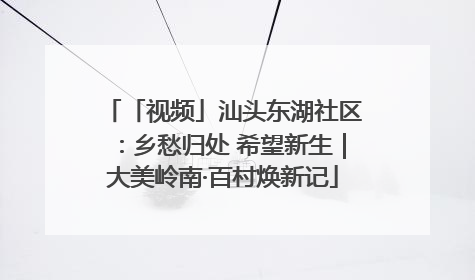「视频」汕头东湖社区：乡愁归处 希望新生｜大美岭南·百村焕新记