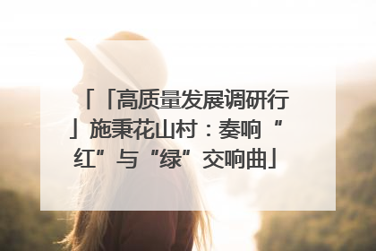 「高质量发展调研行」施秉花山村：奏响“红”与“绿”交响曲