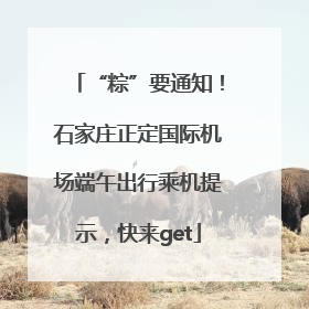 “粽”要通知！石家庄正定国际机场端午出行乘机提示，快来get