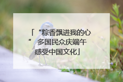 “粽香飘进我的心” 多国民众庆端午感受中国文化