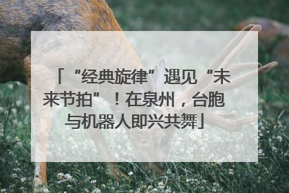 “经典旋律”遇见“未来节拍”！在泉州，台胞与机器人即兴共舞