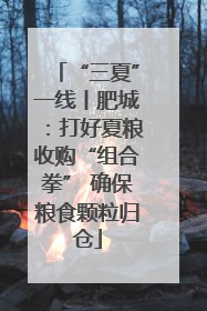 “三夏”一线丨肥城：打好夏粮收购“组合拳” 确保粮食颗粒归仓