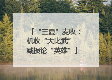 “三夏”麦收：机收“大比武” 减损论“英雄”
