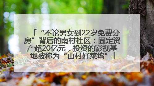 “不论男女到22岁免费分房”背后的南村社区：固定资产超20亿元，投资的影视基地被称为“山村好莱坞”