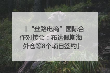 “丝路电商”国际合作对接会：布达佩斯海外仓等8个项目签约