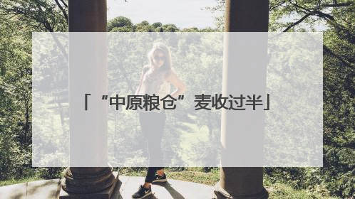 “中原粮仓”麦收过半
