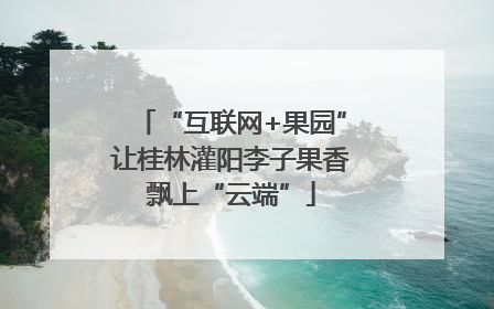 “互联网+果园”让桂林灌阳李子果香飘上“云端”