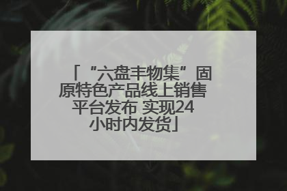 “六盘丰物集”固原特色产品线上销售平台发布 实现24小时内发货