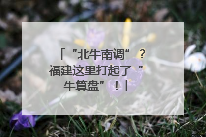 “北牛南调”？福建这里打起了“牛算盘”！