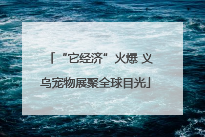 “它经济”火爆 义乌宠物展聚全球目光