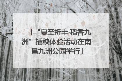 “夏至祈丰·稻香九洲”插秧体验活动在南昌九洲公园举行