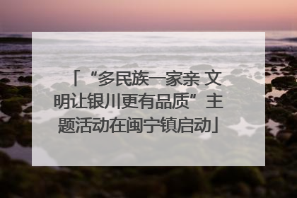 “多民族一家亲 文明让银川更有品质”主题活动在闽宁镇启动