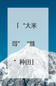“大米哥”“慧”种田