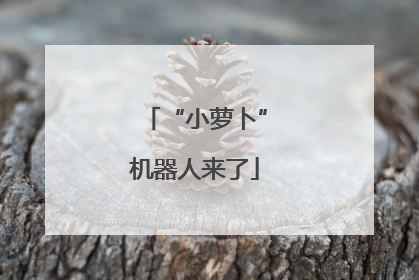 “小萝卜”机器人来了