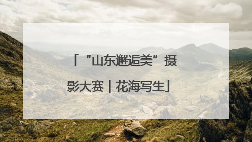 “山东邂逅美”摄影大赛｜花海写生