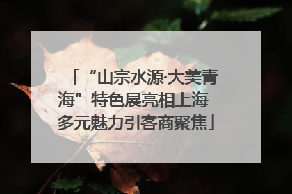 “山宗水源·大美青海”特色展亮相上海 多元魅力引客商聚焦