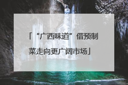 “广西味道”借预制菜走向更广阔市场