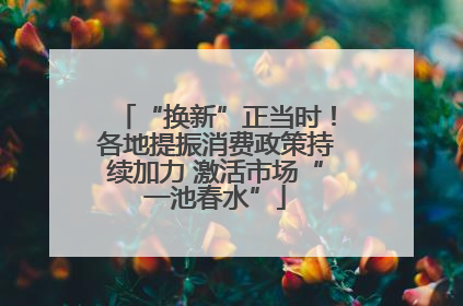 “换新”正当时！各地提振消费政策持续加力 激活市场“一池春水”