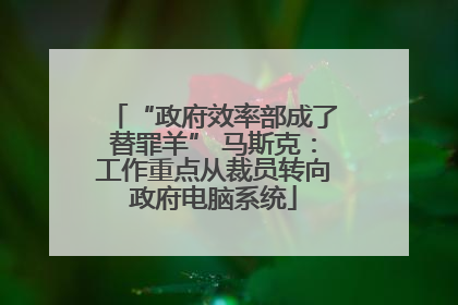 “政府效率部成了替罪羊” 马斯克：工作重点从裁员转向政府电脑系统
