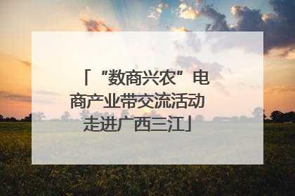 “数商兴农”电商产业带交流活动走进广西三江