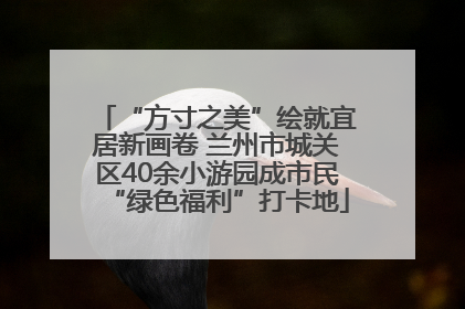 “方寸之美”绘就宜居新画卷 兰州市城关区40余小游园成市民“绿色福利”打卡地