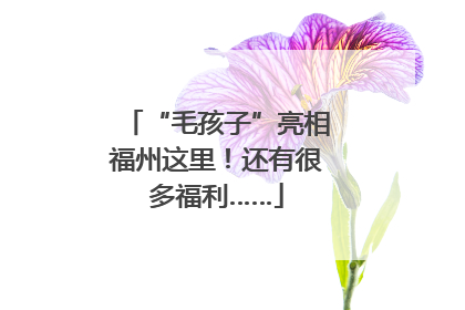 “毛孩子”亮相福州这里！还有很多福利……