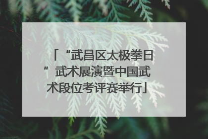 “武昌区太极拳日”武术展演暨中国武术段位考评赛举行