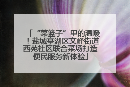 “菜篮子”里的温暖！盐城亭湖区文峰街道西苑社区联合菜场打造便民服务新体验