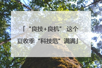 “良技+良机” 这个夏收季“科技范”满满
