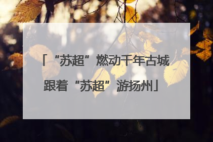“苏超”燃动千年古城 跟着“苏超”游扬州