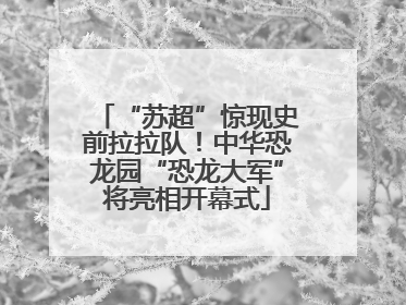 “苏超”惊现史前拉拉队！中华恐龙园“恐龙大军”将亮相开幕式