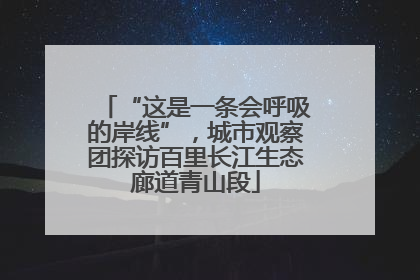 “这是一条会呼吸的岸线”，城市观察团探访百里长江生态廊道青山段