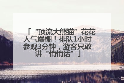 “顶流大熊猫”花花人气爆棚！排队1小时参观3分钟，游客只敢讲“悄悄话”