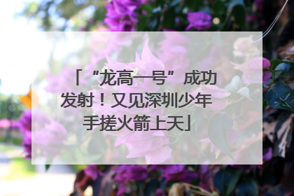 “龙高一号”成功发射！又见深圳少年手搓火箭上天