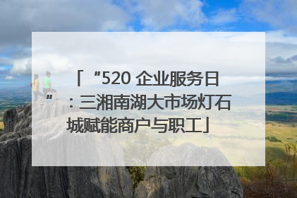 “520 企业服务日”：三湘南湖大市场灯石城赋能商户与职工