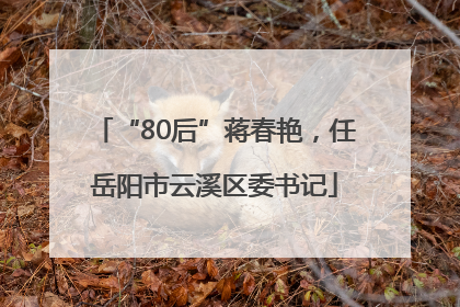 “80后”蒋春艳，任岳阳市云溪区委书记