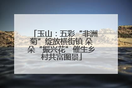 玉山：五彩“非洲菊”绽放横街镇 朵朵“振兴花”催生乡村共富图景