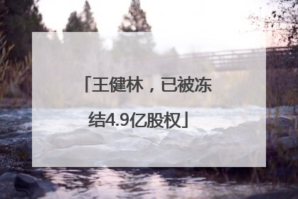 王健林，已被冻结4.9亿股权