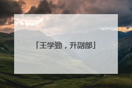 王学勤，升副部