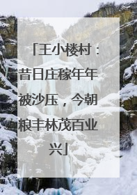 王小楼村：昔日庄稼年年被沙压，今朝粮丰林茂百业兴