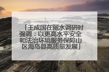 王成国在丽水调研时强调：以更高水平安全和法治环境服务保障山区海岛县高质量发展