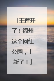 王莲开了！福州这个网红公园，上新了！