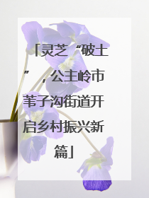 灵芝“破土”，公主岭市苇子沟街道开启乡村振兴新篇